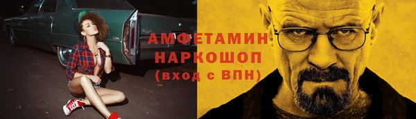 стаф Аркадак