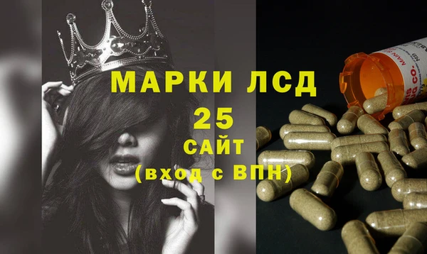 гидропоника Новокубанск